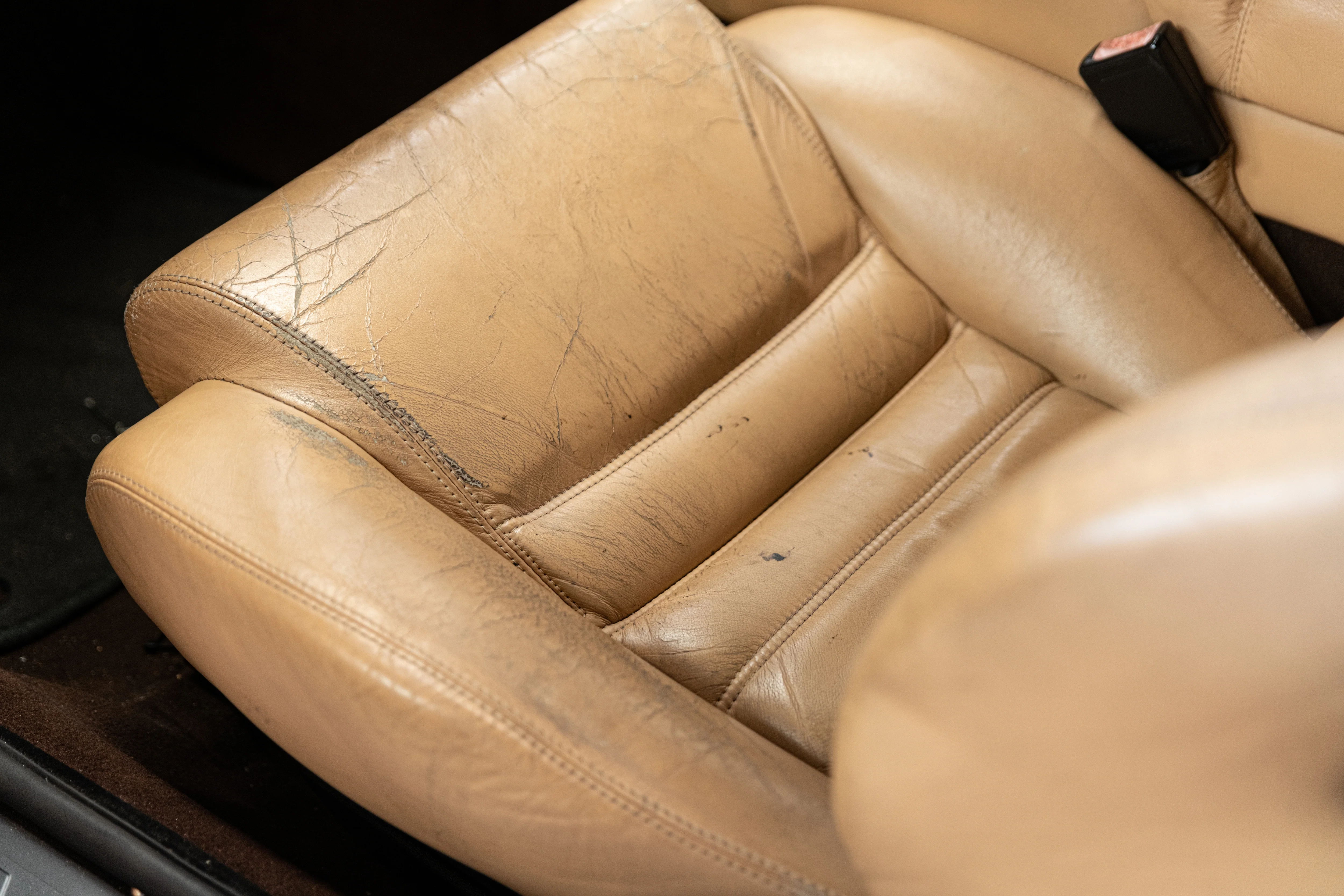 Leather Conditioner - Image 11